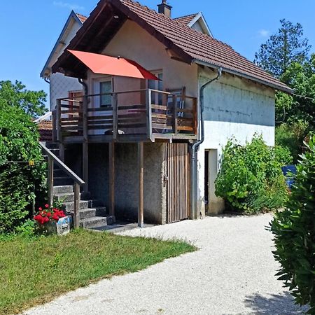 Une Tiny House A Decouvrir Au Coeur De La Cite ! Contrexéville Eksteriør bilde